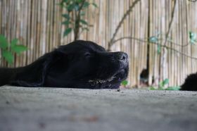 DSC04791.JPG