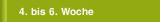 4. bis 6. Woche